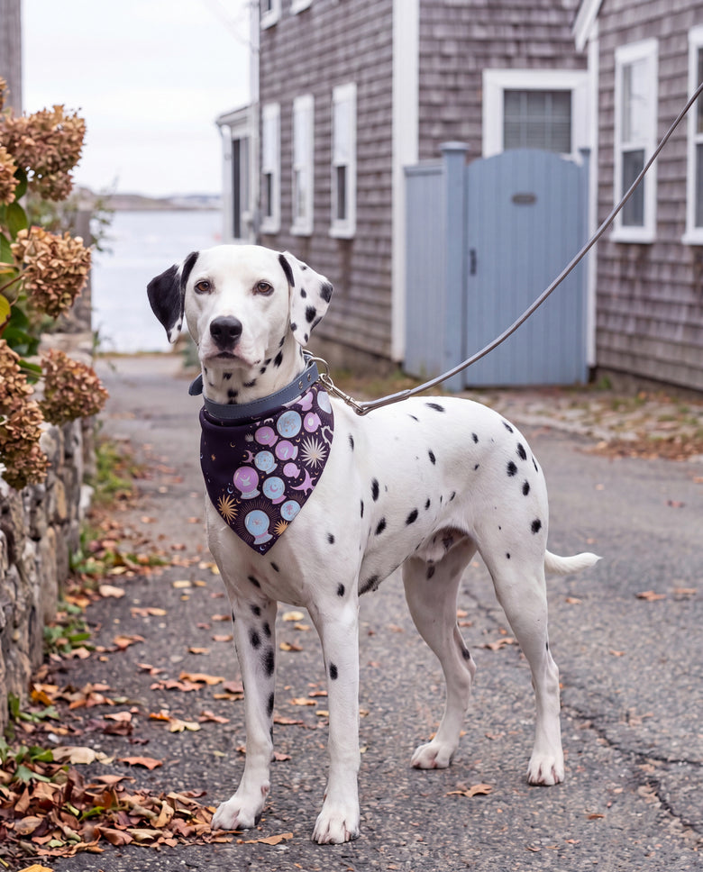 Cristal Lilac Silk Dog Bandana