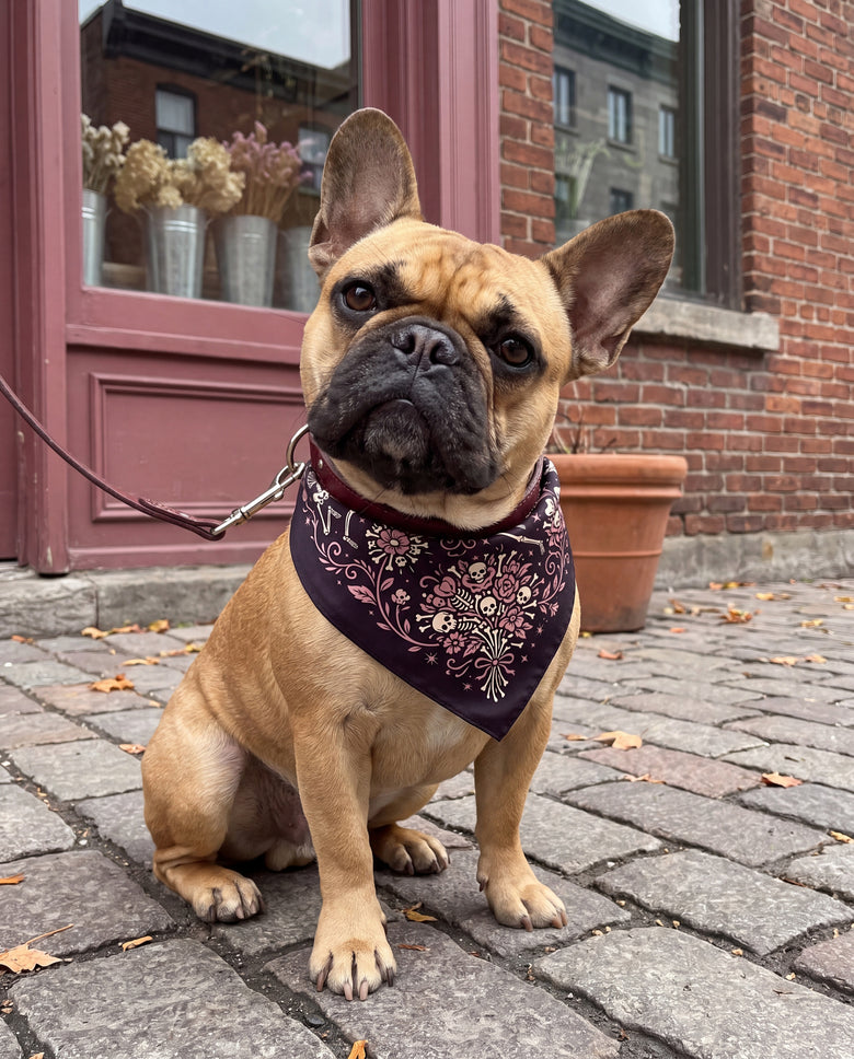 Danse des Os Silk Dog Bandana