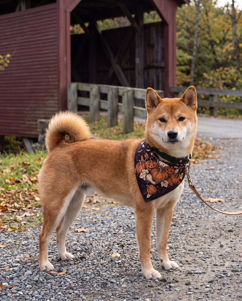 Harvest Nocturne Silk Dog Bandana