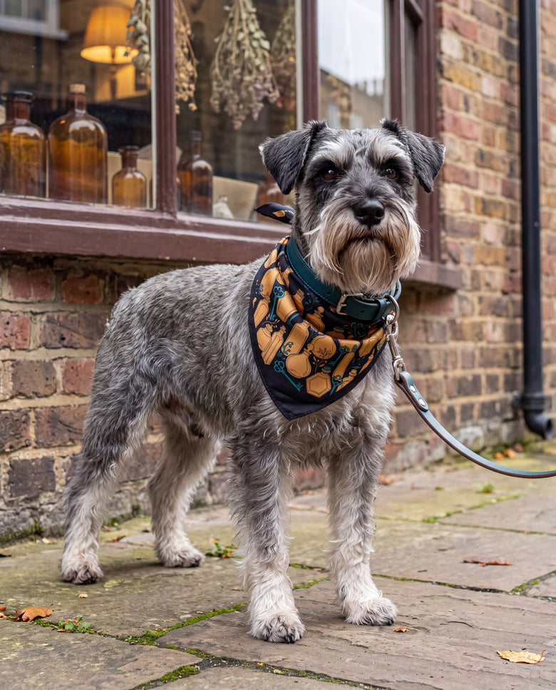 Sortileges Curio Silk Dog Bandana