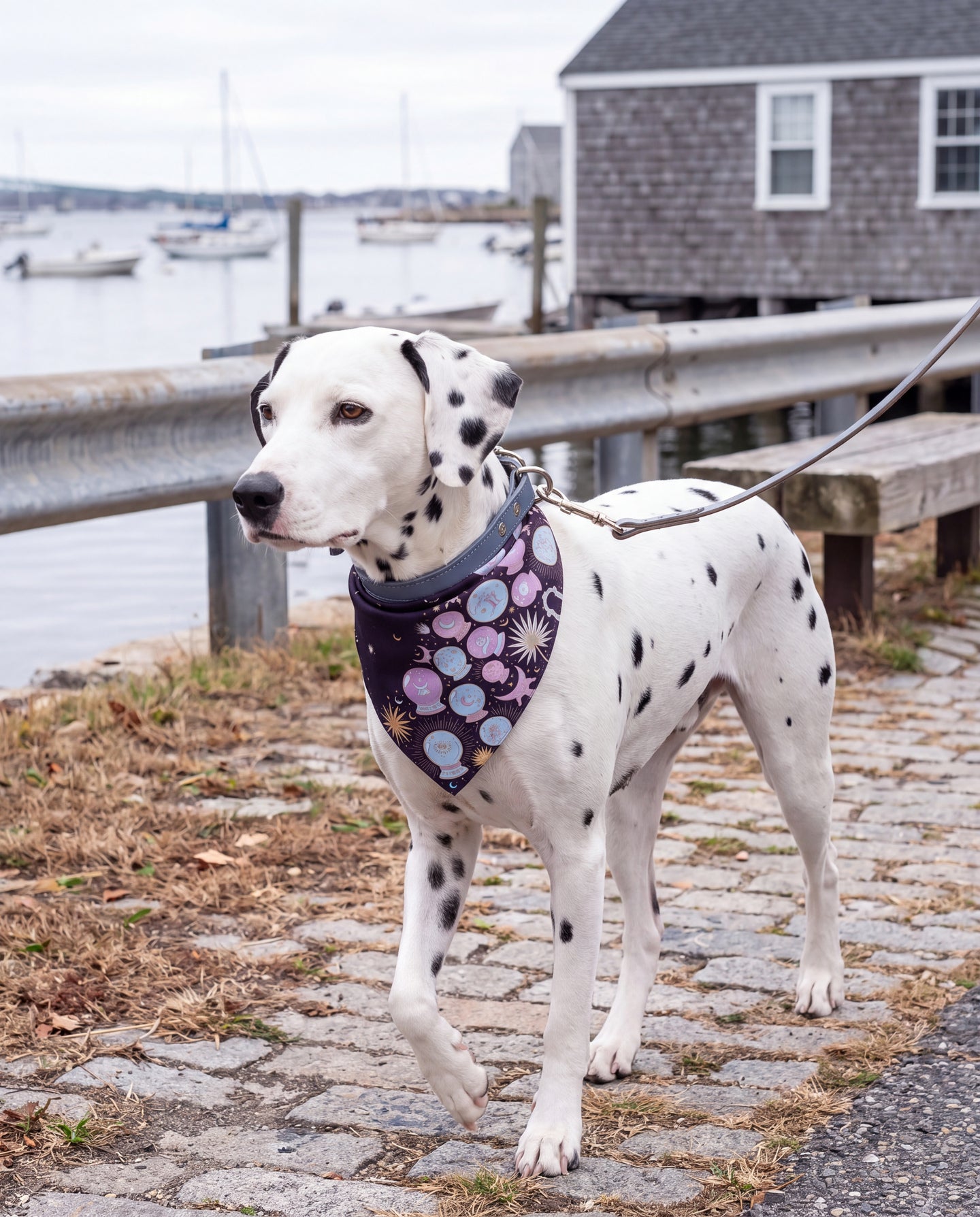 Cristal Lilac Silk Dog Bandana: following the sea breeze