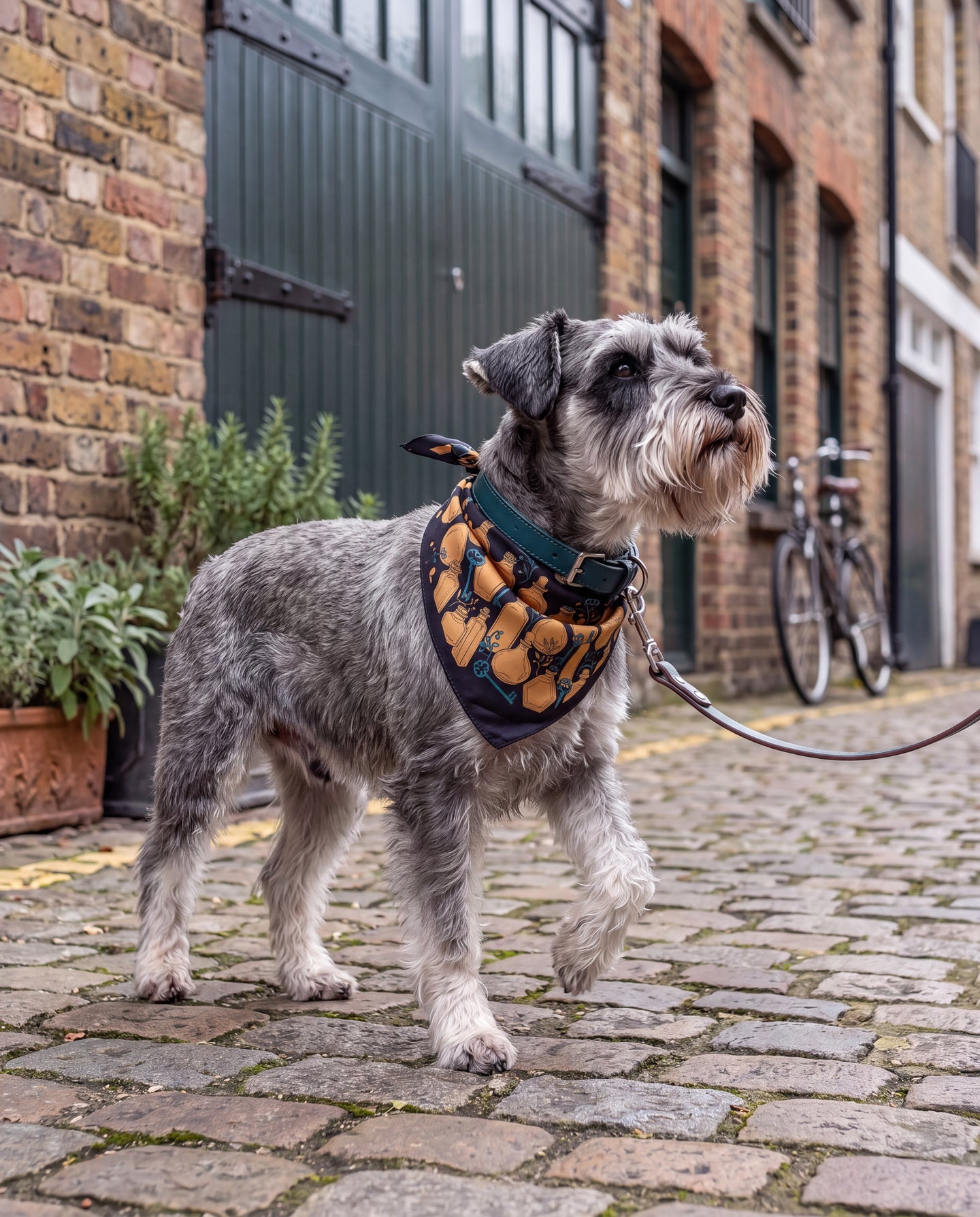 Sortileges Curio Silk Dog Bandana: always something to investigate