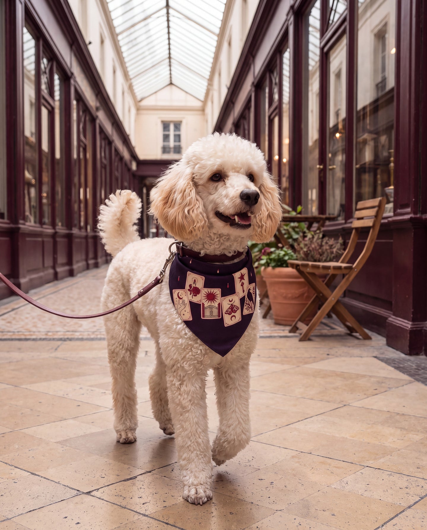 Tarot du Bal Silk Dog Bandana: taking the scenic route
