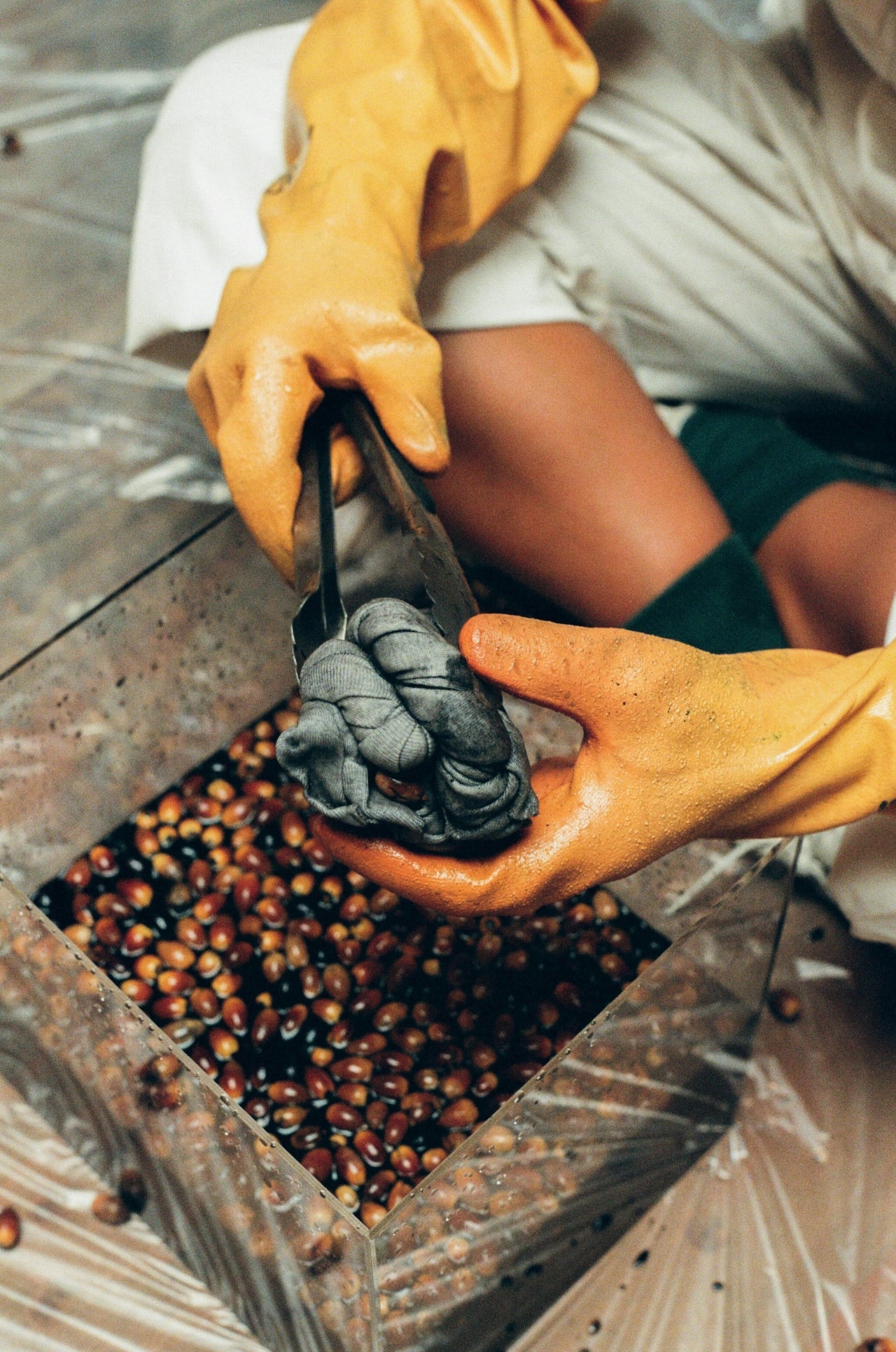 Editorial study of colour and a traditional dye process