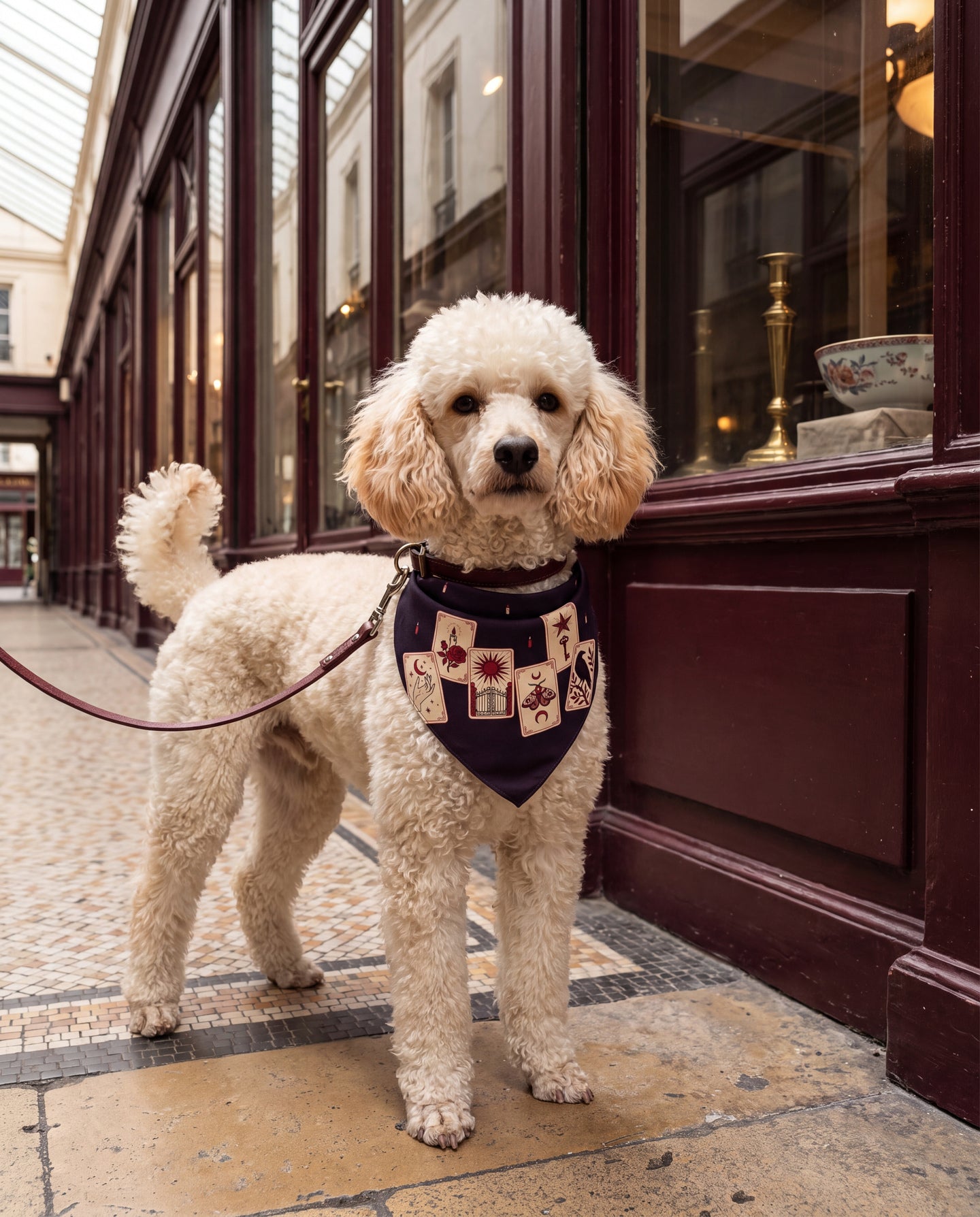 Tarot du Bal Silk Dog Bandana: something catches the eye