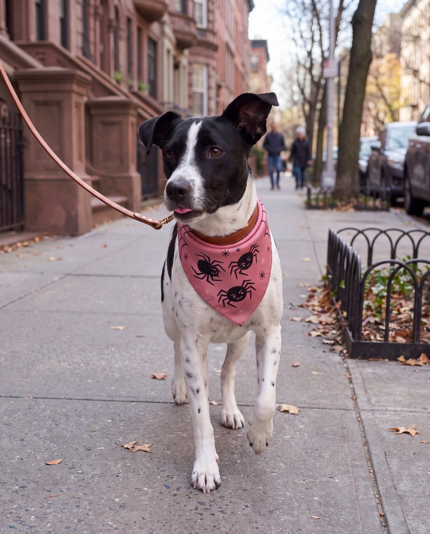 Araignees Rose Silk Dog Bandana: a little city stride