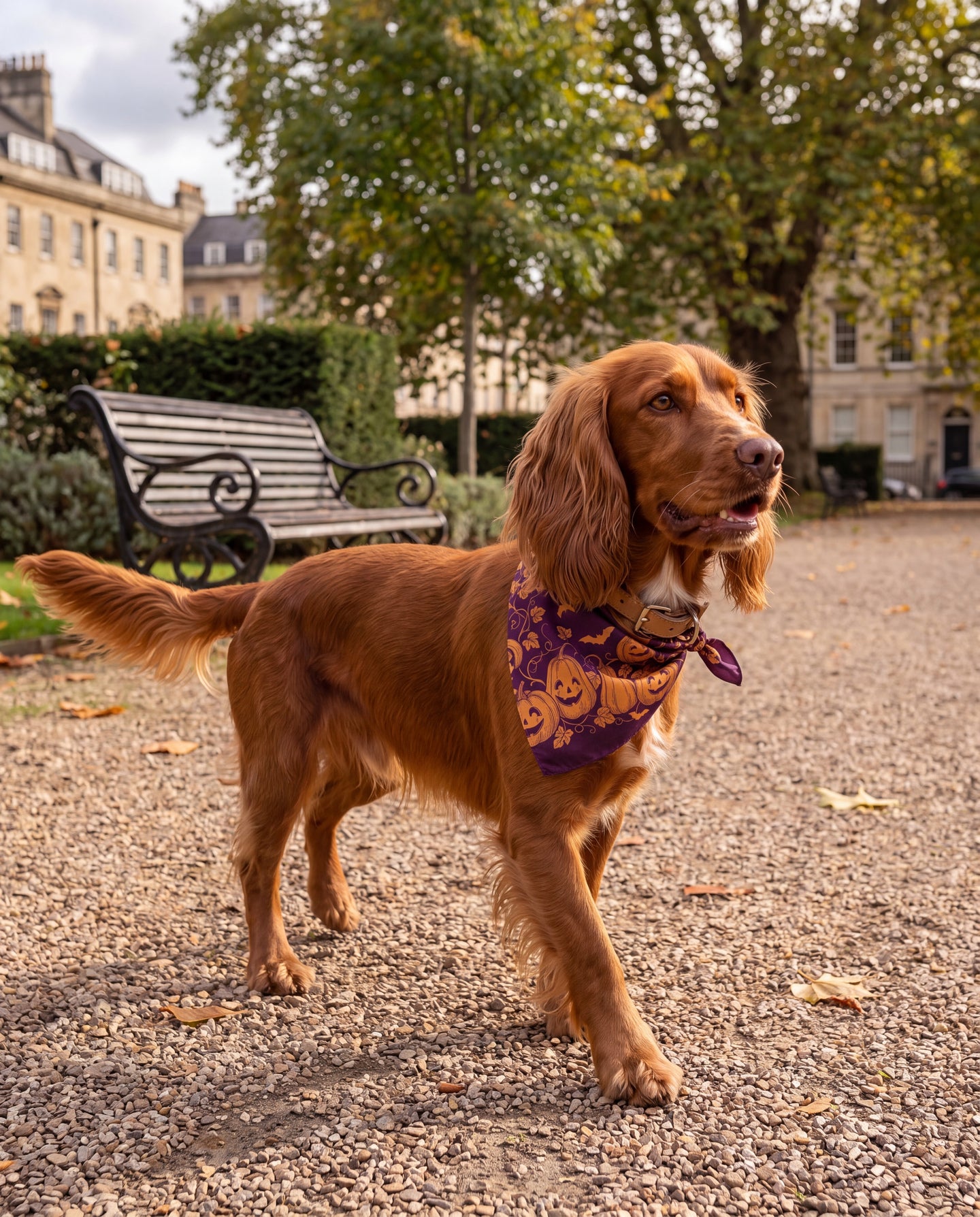 Verger Pourpre Silk Dog Bandana: one more turn around the square
