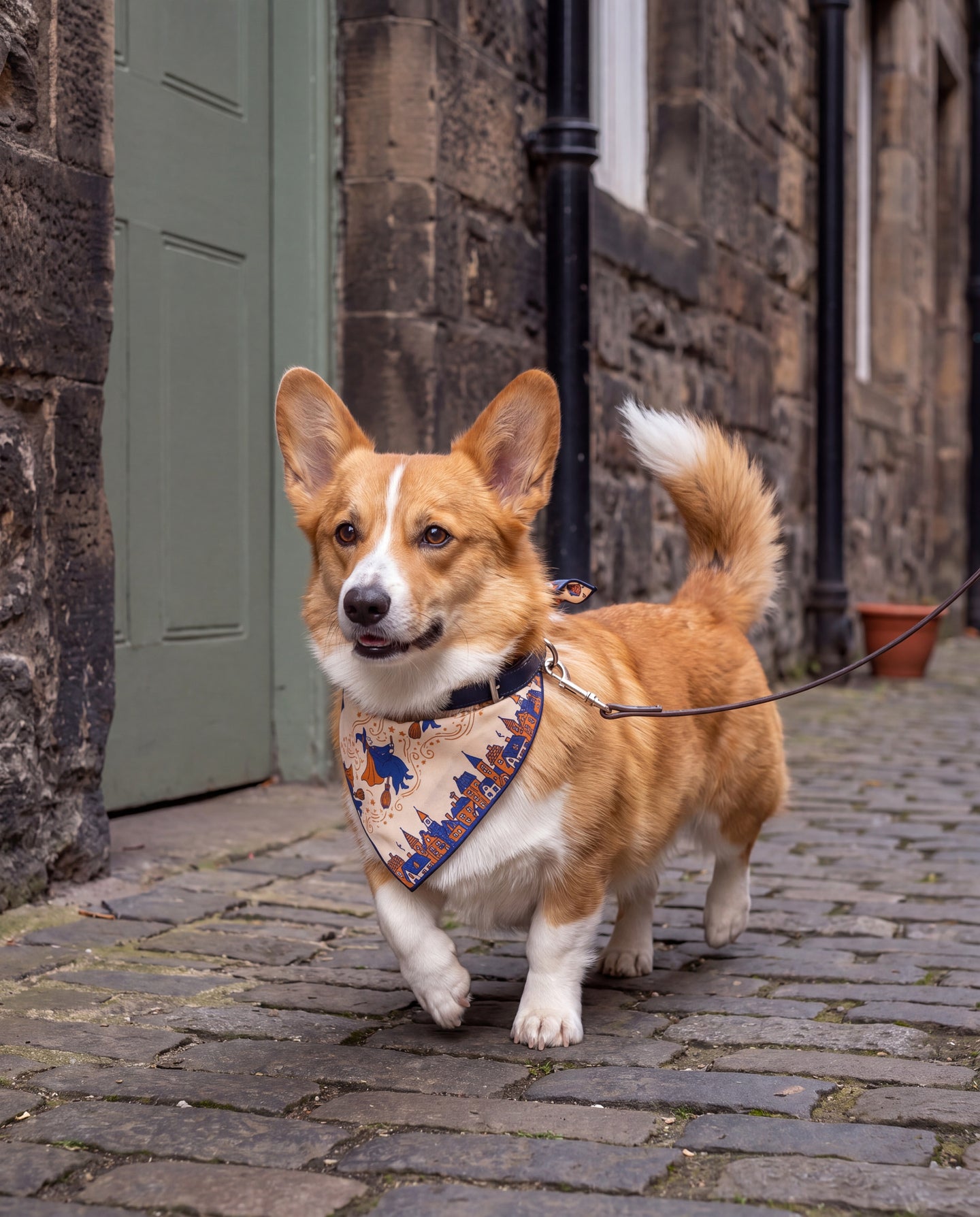Promenade Sorciere Silk Dog Bandana: the long way to nowhere