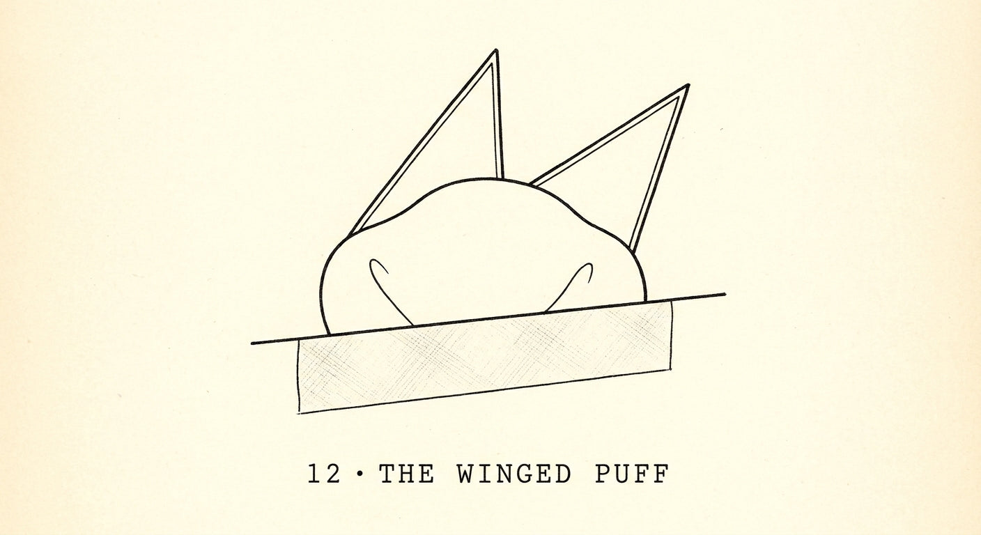 The Winged Puff illustration
